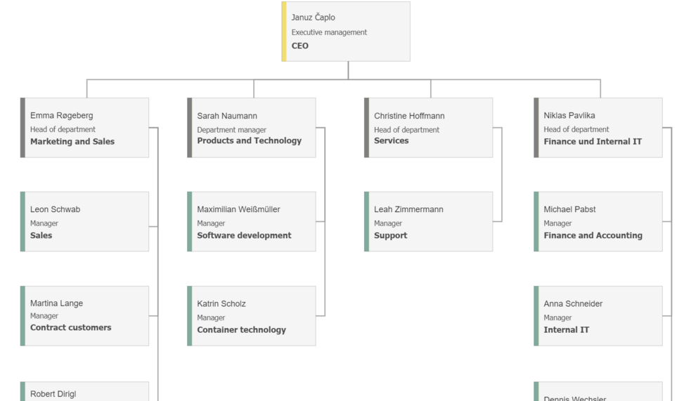 Organisational chart of the company